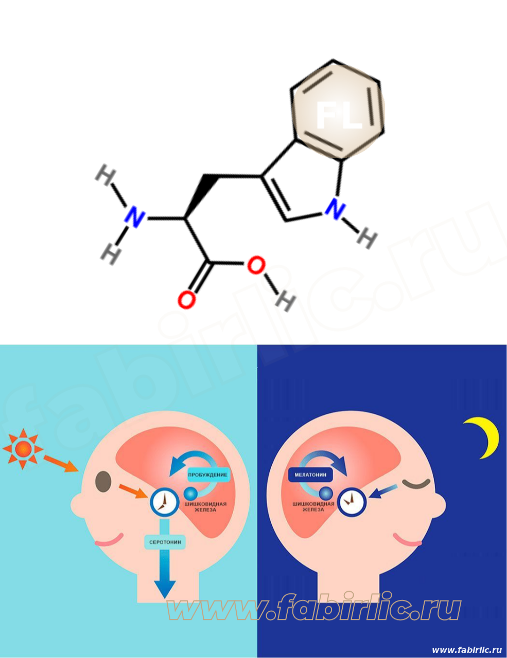 Ось кишечник—мозг: как питание влияет на сон