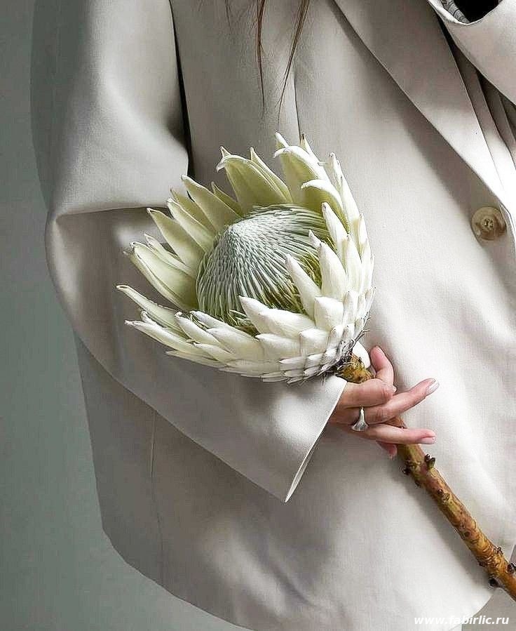 желания быть счастливыми